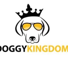 Doggykingdom