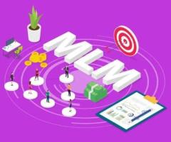 Trusted MLM Software Development Company in Delhi- Solutions1313