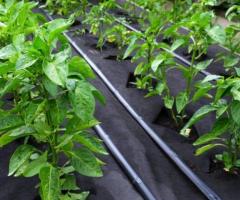 Heavy Duty Breathable Garden Weed Mat Layer