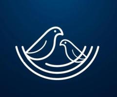 Nest Software Private Ltd