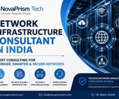 Network Infrastructure Consultant in India