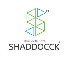 Shaddocck - Best SEO Company in Gujarat