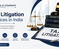 Expert Tax Litigation Services in India | R Pareva