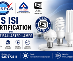 BIS ISI Certification for Self Ballasted Lamps