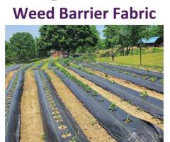 Unlock Weed Barrier Fabric for Effective Weed Suppression
