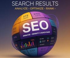 Solutions1313 - Chandigarh's Trusted Partner for Real SEO Growth