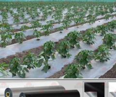 Organic Biodegradable Mulch film Protects Earth Naturally