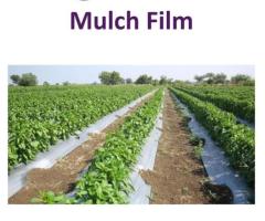 Mulch Film Supporting Efficient and Sustainable Cultivation