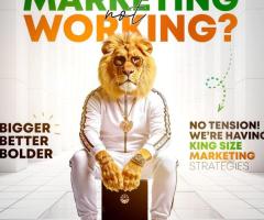 Solutions1313: Turning Search Visibility Into Real Business Growth - 2