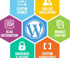 WordPress Development Company in India  Experts