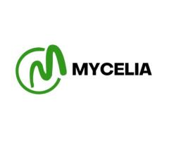 Mycelia Jm