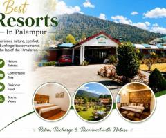 Best Resorts in Palampur for a Peaceful Mountain Holiday Stay