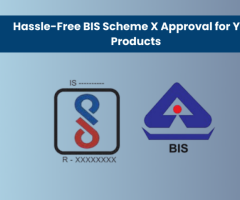 Hassle-Free BIS Scheme X Approval for Your Products