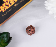 original rudraksha mala – Sacred Beads for Peace & Spiritual Growth
