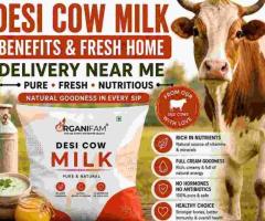 Desi Cow Milk Benefits & Fresh Home Delivery Near Me