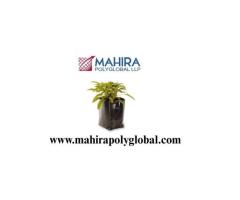 Planter Bags Offer Practical Support For Home And Nursery Cultivation