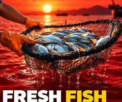 Fresh Fish Near Malviya Nagar – Perfectious Love Meat Shop