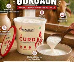 Best Dahi in Gurgaon for Fresh, Creamy & Natural Taste