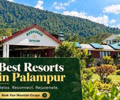 Best Resorts In Palampur for a Peaceful Mountain Getaway