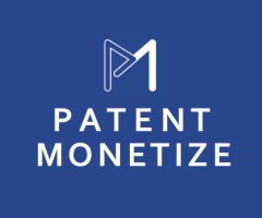 End-to-end patent monetization solutions provider in India and worldwide.