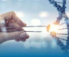 Pharmacovigilance Services in New Zealand