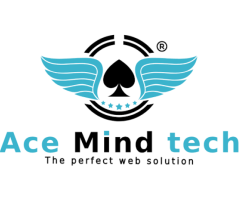 SEO Company in Delhi AceMindTech