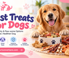 Best Treats for Dogs | Healthy Options – Furever Kare