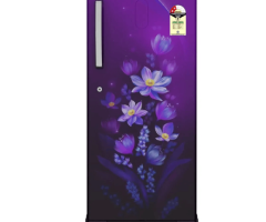 Buy Lloyd Icecool 216 L Refrigerator | Havells