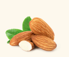 Buy Badam oil Via VedaOils
