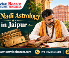 astrologers in jaipur