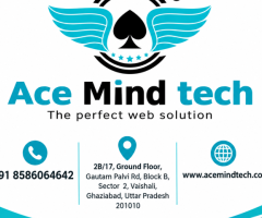 Best SEO Company in Noida Sector 63 – Acemind Technology
