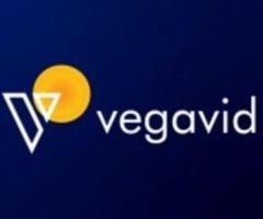 AI Voice Agent Development Services