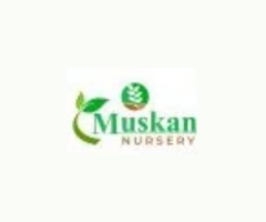 Muskan Nursery
