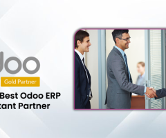 Odoo Gold Partner for The Best Odoo ERP Consultant Partner