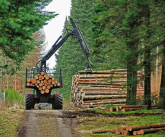Sustainable Forestry Practices – Protecting Forests for Future Generations
