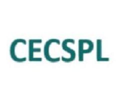 Collegian Excel Consultancy Services (P.) Ltd. | ISO Certification Consultants