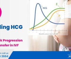 HCG Levels Week by Week | IVF Doctor in Delhi