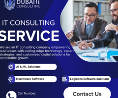 Best IT Consultancy In Dubai