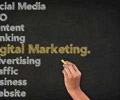 How a Digital Marketing Agency in Delhi Helps Brands Dominate Online - 2