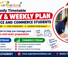Class 11 Study Timetable: Daily and Weekly Study Plan for Science and Commerce Students