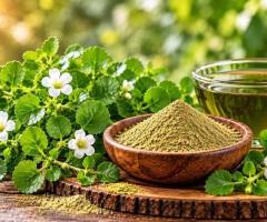 Brahmi Extract Exporters for International Bulk Orders