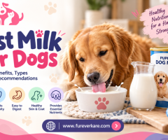 Best Milk for Dogs: A Complete Guide | Furever Kare
