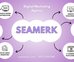 Website Development Company