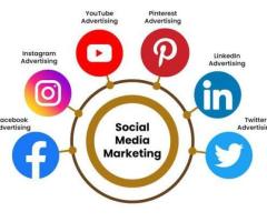 Social Media Marketing Service in India for Business Growth