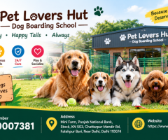 Pet Lovers Hut - Dog Boarding School