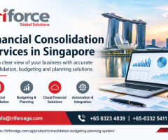 Financial Consolidation Services in Singapore | Triforce Global Solutions