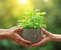 Green Environment Campaign