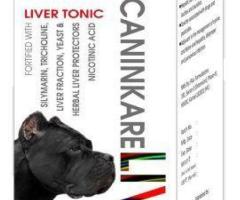 Liv-UP Syrup Supplements For Dog Online in India