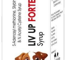 Liv UP Forte Syrup Supplements For Cat Online in India