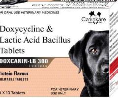 Buy Doxycycline and Lactic Acid Bacillus-300 Medicine For Pets Online in India